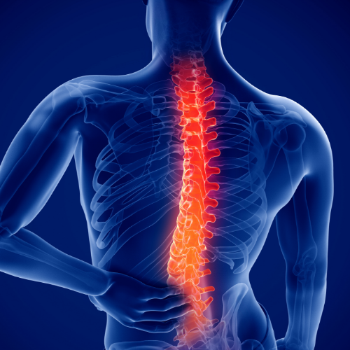 Monarch-Physiotherapy-Clinic-Calgary-AB