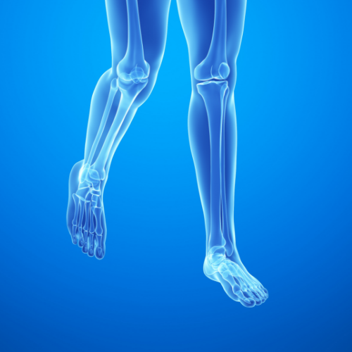 Monarch-Physiotherapy-Clinic-Calgary-AB