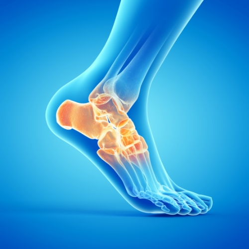 Monarch-Physiotherapy-Clinic-Calgary-AB