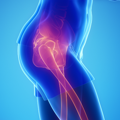 Monarch-Physiotherapy-Clinic-Calgary-AB