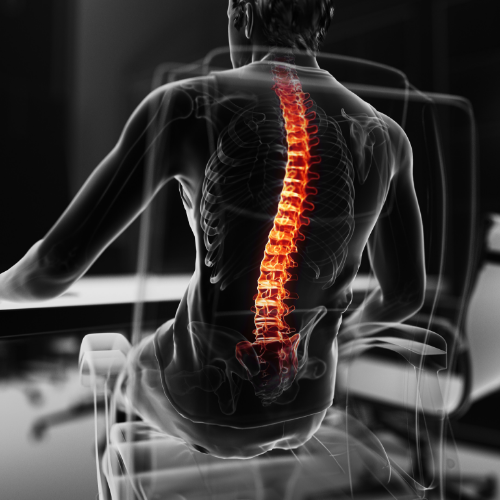Monarch-Physiotherapy-Clinic-Calgary-AB