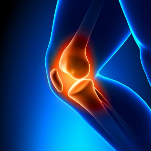Monarch-Physiotherapy-Clinic-Calgary-AB