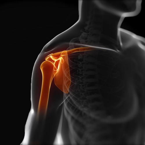 Monarch-Physiotherapy-Clinic-Calgary-AB
