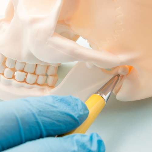 tmj-dysfunction-monarch-physiotherapy-clinic-calgary-ab